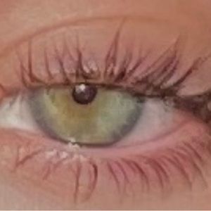 Meet your Posher, Elyse